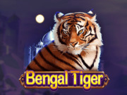 Bengal Tiger